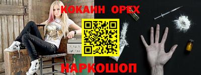 альфа пвп Новодвинск