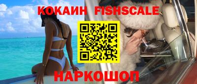альфа пвп Новодвинск