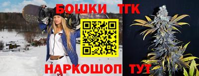 альфа пвп Новодвинск
