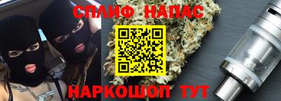 альфа пвп Новодвинск