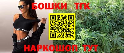 альфа пвп Новодвинск