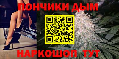 альфа пвп Новодвинск