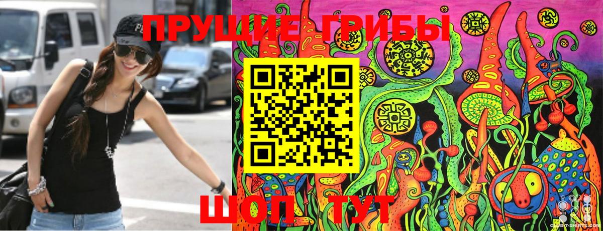 Удомля  Псилоцибиновые грибы Cubensis  Вход с VPN 