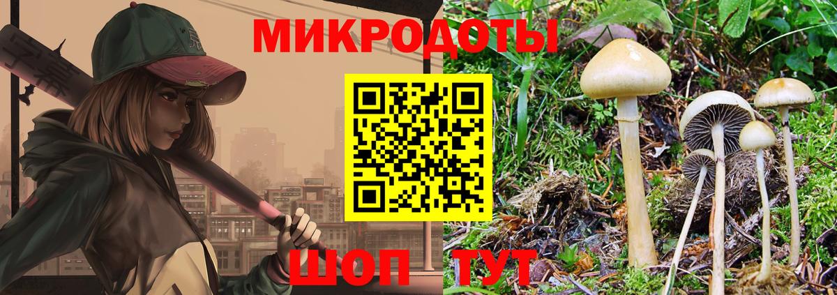 Галлюциногенные грибы ЛСД Удомля